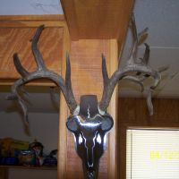 16,000 acre Corporate Hunting Lease