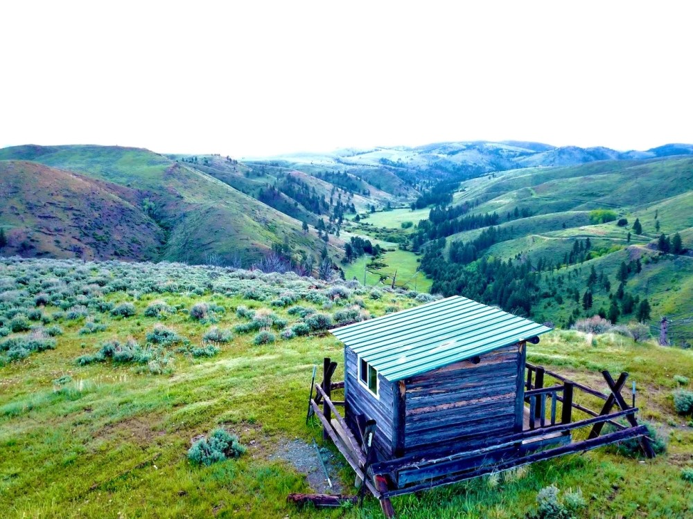 Greyson Creek Mountain Camp featured image