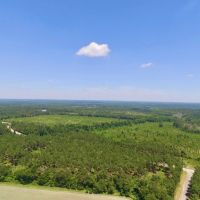 Hunters and Investor Paradise in Burke County GA images 2