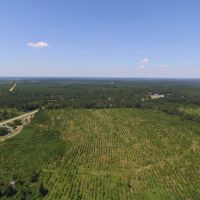 Hunters and Investor Paradise in Burke County GA images 3