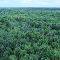 Price County Wisconsin 80 Acres For Sale