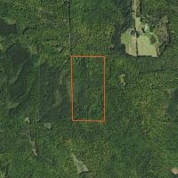 Price County Wisconsin 80 Acres For Sale images 2