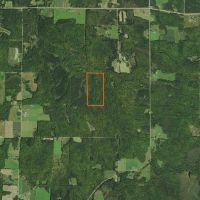 Price County Wisconsin 80 Acres For Sale images 3
