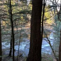 5-acre Wooded Creek Front Land Pitcairn NY images 2