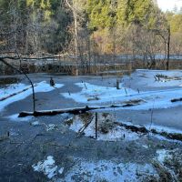 5-acre Wooded Creek Front Land Pitcairn NY images 4