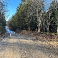 5-acre Wooded Creek Front Land Pitcairn NY images 5