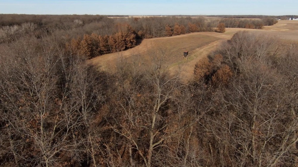Macoupin County IL 80 Acres of Land For Sale featured image