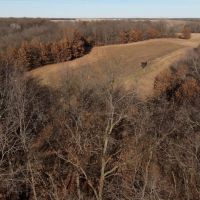 Macoupin County IL 80 Acres of Land For Sale