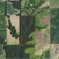 Macoupin County IL 80 Acres of Land For Sale images 2