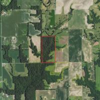 Macoupin County IL 80 Acres of Land For Sale images 3