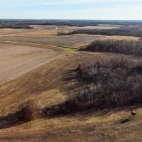 Macoupin County IL 80 Acres of Land For Sale images 4