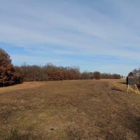 Macoupin County IL 80 Acres of Land For Sale images 5