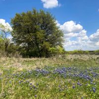 Flat Top Mountain Ranch images 3