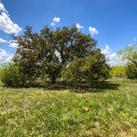 Flat Top Mountain Ranch images 4