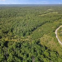Timber Land for Sale images 3