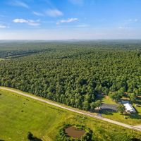Timber Land for Sale images 5