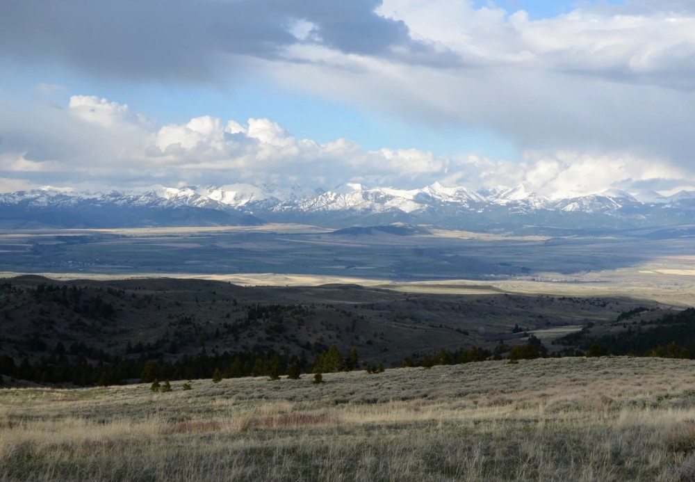 The Reserve at Willow Creek featured image