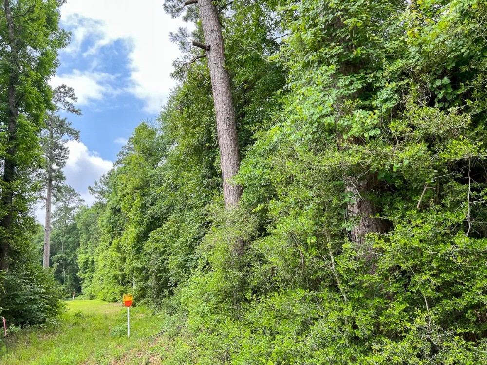 52 Acres FM 2937 C-4 Silsbee Stake featured image
