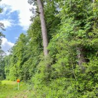 52 Acres FM 2937 C-4 Silsbee Stake
