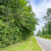 52 Acres FM 2937 C-4 Silsbee Stake images 3