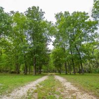 Hickory Hill Farm images 4
