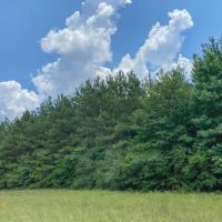 411 Acres Hwy 59 images 2