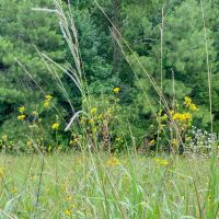 411 Acres Hwy 59 images 5