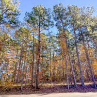 113 Acres Hwy 37 T-6 Kiskadee images 5