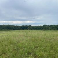 Hwy 18 35 acres images 4
