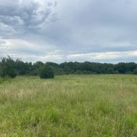 Hwy 18 35 acres images 5