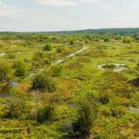 The Banded Drake Ranch images 4