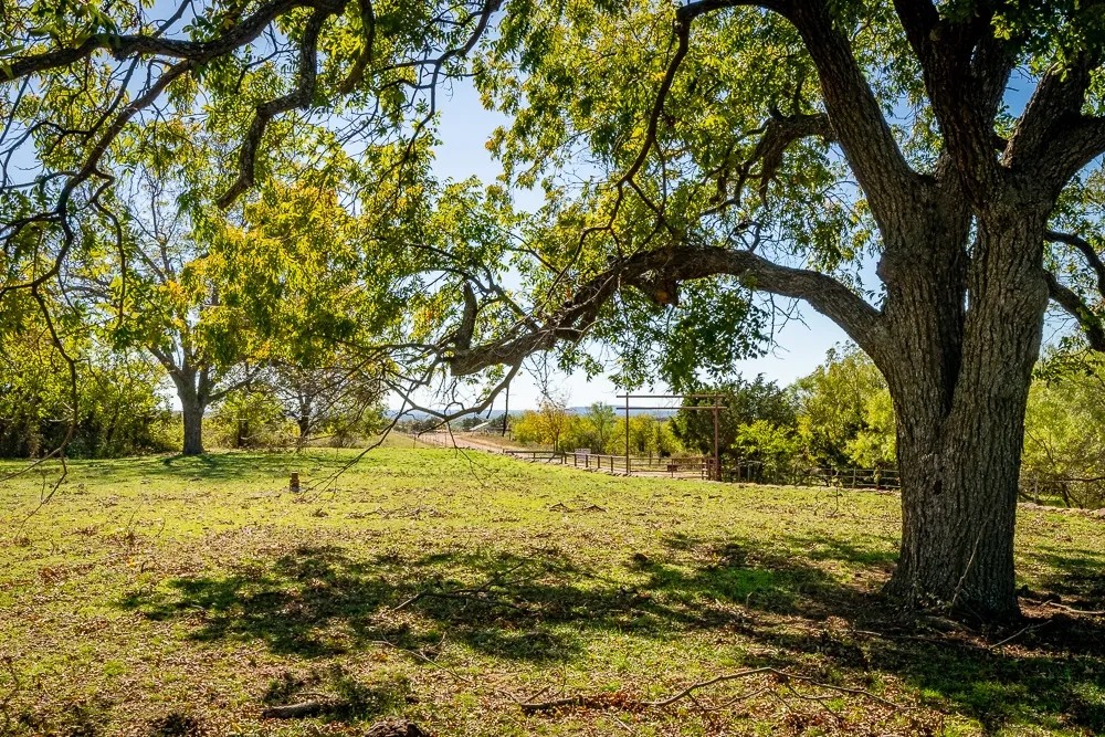 118.4 Acre Recreational Property featured image