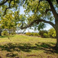 118.4 Acre Recreational Property