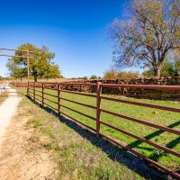 118.4 Acre Recreational Property images 2
