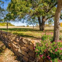 118.4 Acre Recreational Property images 3