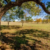 118.4 Acre Recreational Property images 4
