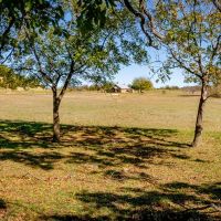 118.4 Acre Recreational Property images 5