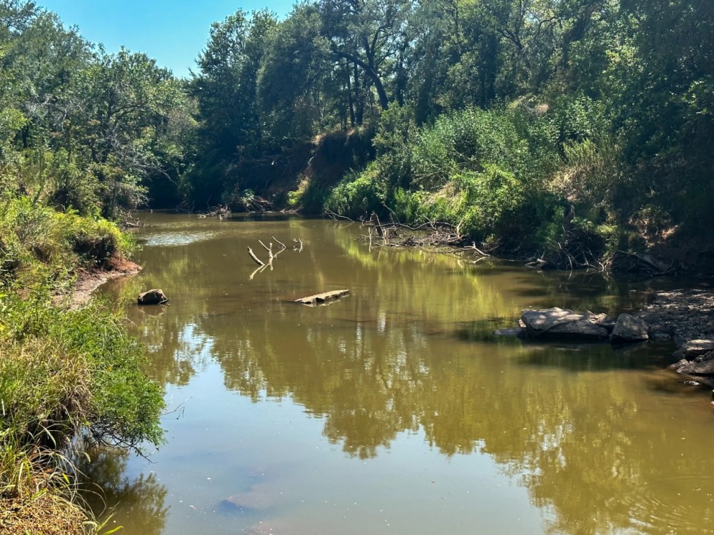 42 - Acres ....Cabin 1000 ft Pecan Bayou frontage Hunting Fishing Oaks More featured image
