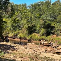 42 - Acres ....Cabin 1000 ft Pecan Bayou frontage Hunting Fishing Oaks More images 3