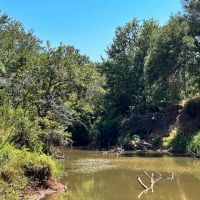 42 - Acres ....Cabin 1000 ft Pecan Bayou frontage Hunting Fishing Oaks More images 4