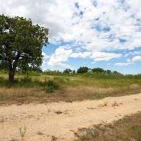 27.72 Acres in Milam County images 4