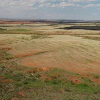 HUNTING PROPERTY LAND FOR SALE ESTELLINE TEXAS REALTREE images 5