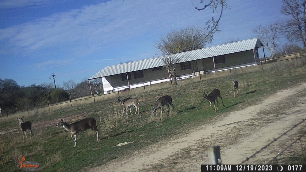 Lampasas Riverfront Hunting Ranch Evant Texas featured image