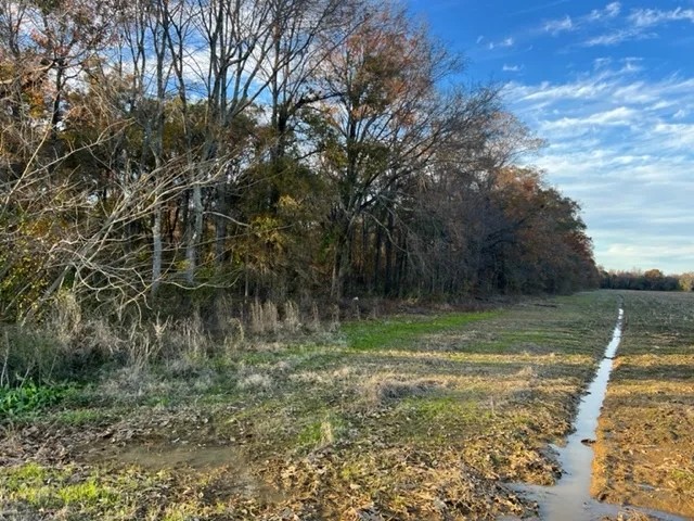 LA - West Carroll 40 acres - featured image