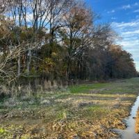 LA - West Carroll 40 acres -