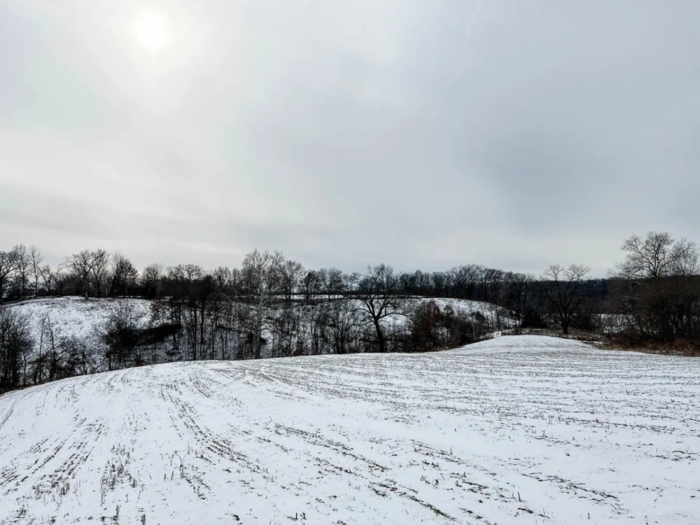 Pike County Illinois 78 Acres For Sale featured image