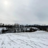 Pike County Illinois 78 Acres For Sale