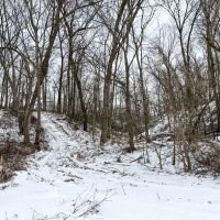 Pike County Illinois 78 Acres For Sale images 4