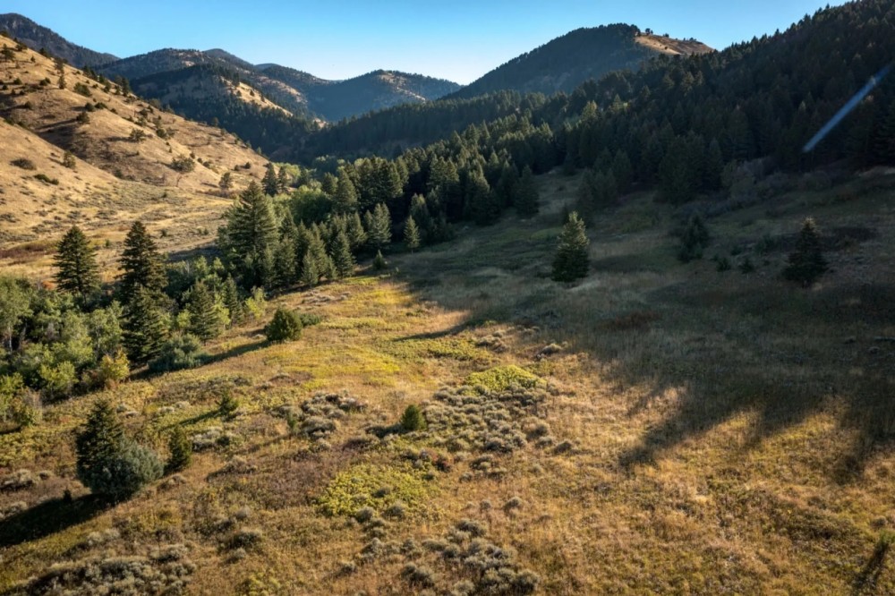 Springhill Ridge featured image