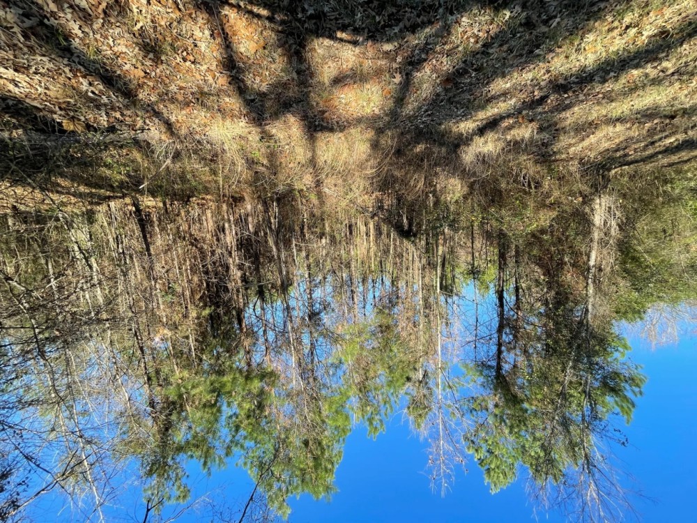 LA - Caldwell 40 acres - featured image